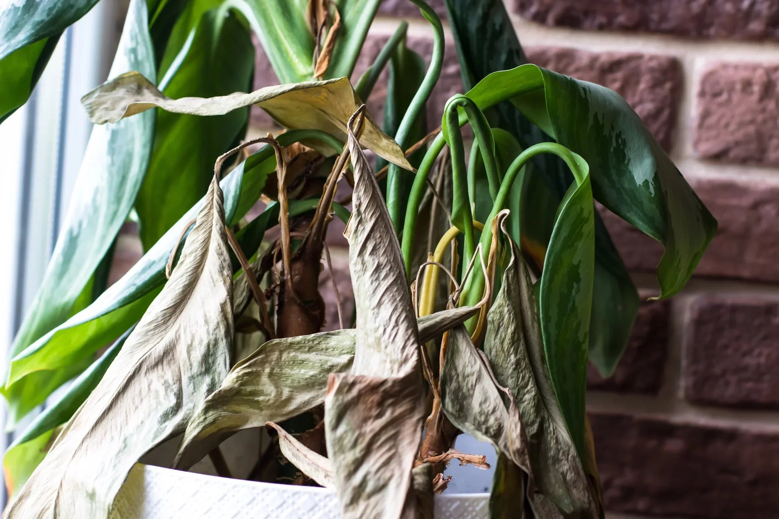 Seasonal Inspiration: Transforming Your Garden Room for Every Season