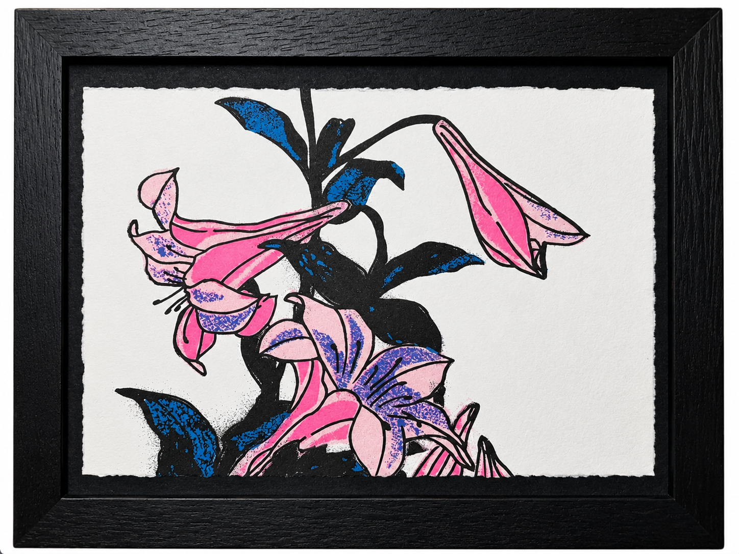 LILY-2