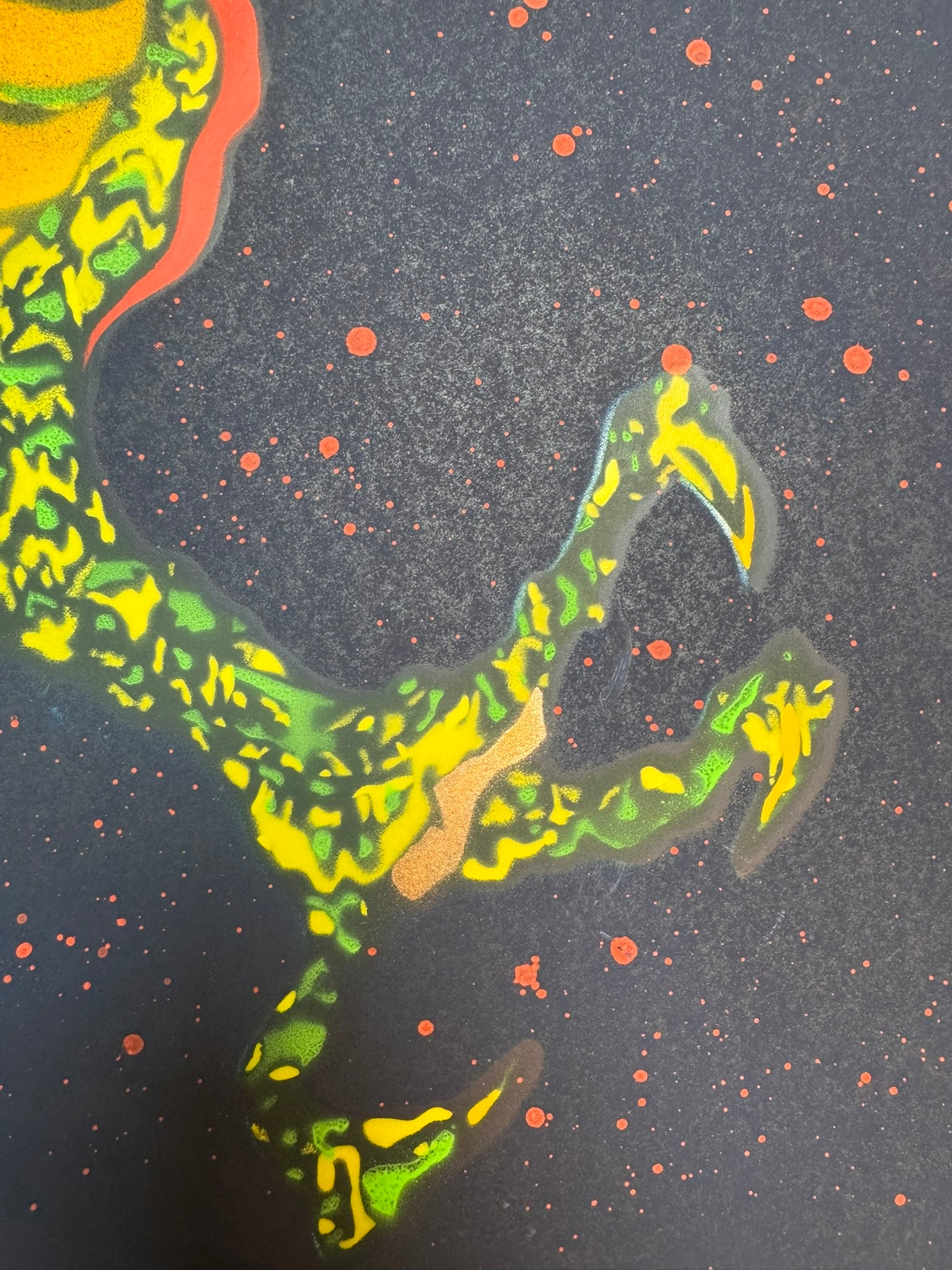 DRAGON-6