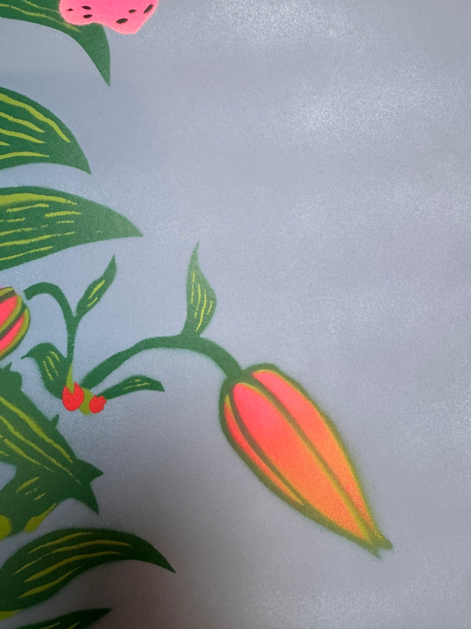 TIGER LILY-5