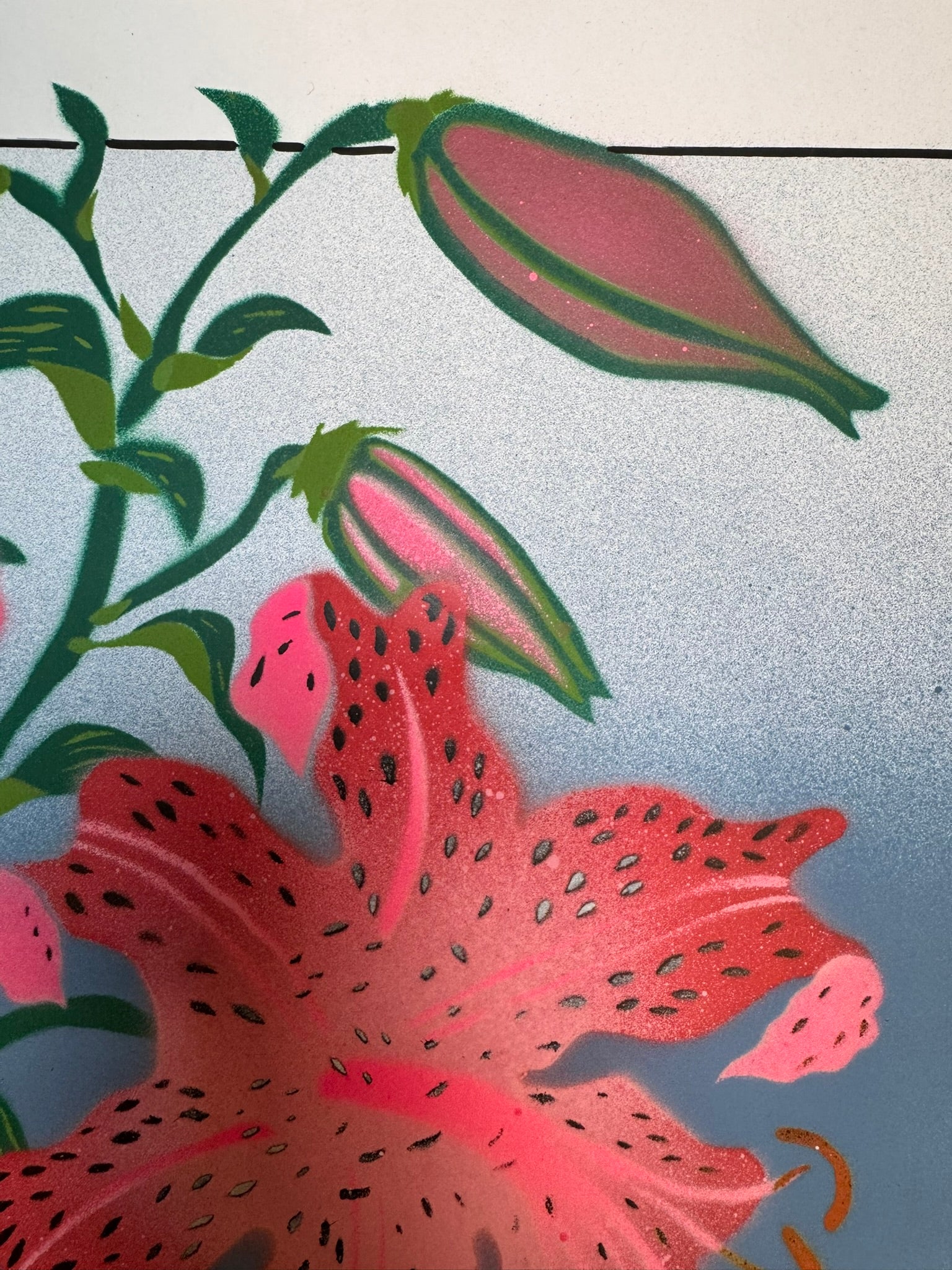 TIGER LILY-thumbmail-3